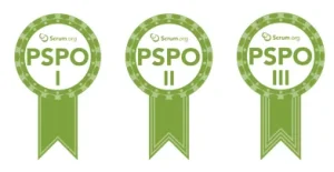 Professional Scrum Product Owner